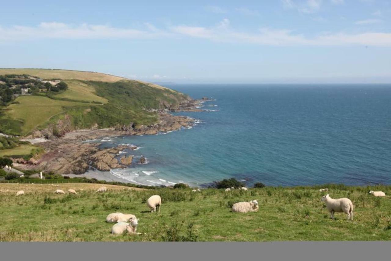Polmear Harbour View With Terrace Appartement Looe Buitenkant foto